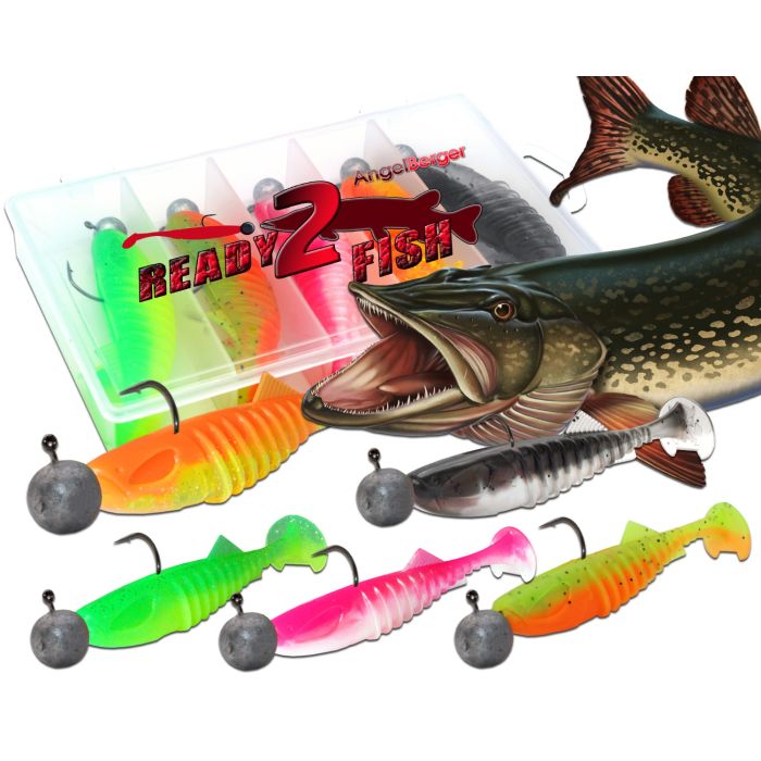 Wild Devil Baits Ready2Fish Shockwave Shad mit Box Gummifisch Set mit  Jighaken Kunstköder Gummiköder Angelset