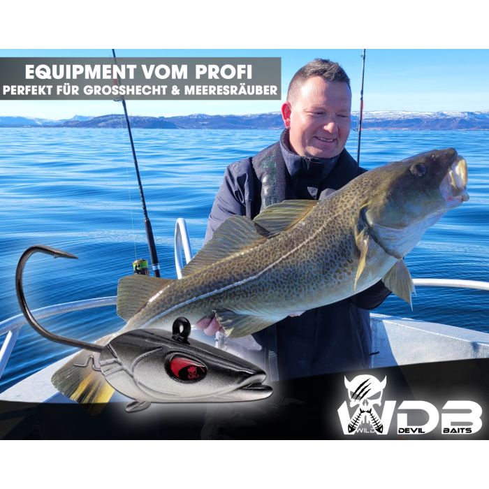 Wild Devil Baits Sandeel Jig Head Jighaken Sand Eel Jigkopf Jig Hook  Bleikopf Meeresangeln Jighead Norwegen