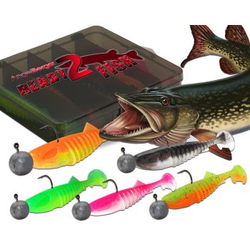 Wild Devil Baits Ready2Fish Shockwave Shad mit Box Gummifisch Set mit Jighaken Kunstköder Gummiköder Angelset