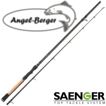 Jackson Direct Spin Angelrute 2,70m - Profi Spinnrute Für Hecht & Zander